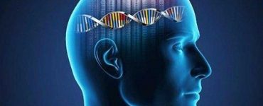 Akıl ile Zeka Arasındaki Fark Nedir?