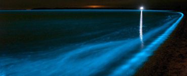 Fosfor Karanlıkta Nasıl Parlar?