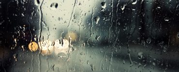 Sinek Yağmurda Neden Düşmez?