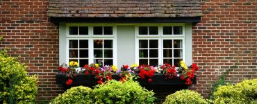 Ev Çiçekleri Bize Nasıl Zarar Verebilirler?