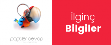 İlginç Bilgiler