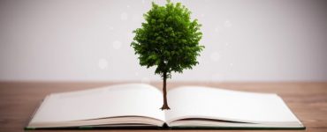 Bir ağaçtan kaç tane dosya kâğıdı çıkar?