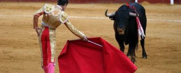 Kırmızı Renk Neden Boğaları Kızdırır?