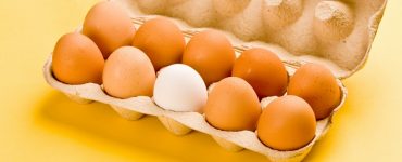 Sarı ve beyaz yumurta arasında bir fark var mı?