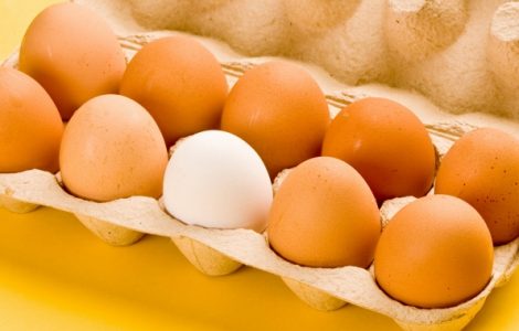 Sarı ve beyaz yumurta arasında bir fark var mı?