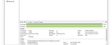 Masaüstünde Torrent Nasıl Açılır?