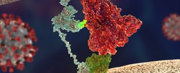 Koronavirüsü Bu Kadar Bulaşıcı Yapan İkinci Bir ‘Anahtar’ Keşfedildi